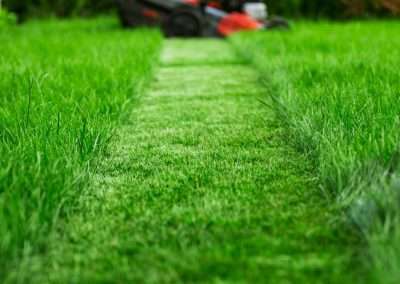 Lawn Maintenance Services, DP Landscaping Pocatello